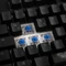 Ducky Shine 7 PBT, LEDs RGB, schwarz, MX RGB BLUE, USB, DE Vorschaubild