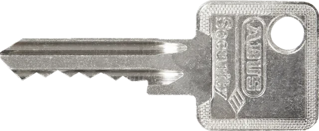 ABUS 83WPIB/53 Submariner, Vorhängeschloss