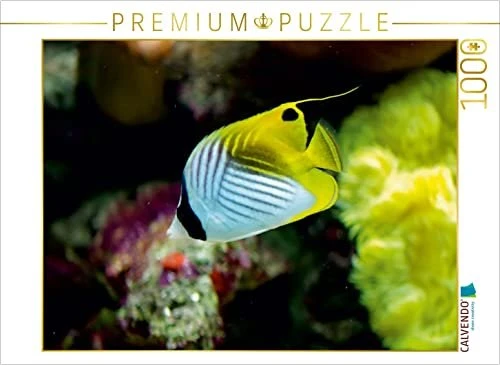 Calvendo Ein Motiv aus dem Kalender Riffbewohner - Bunte Fische, Anemonen und noch viel mehr
