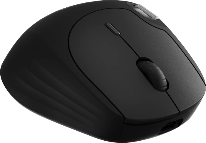 Rapoo MT560 Multi-Mode Wireless Mouse, schwarz, USB/Bluetooth