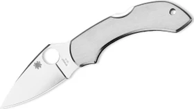 Spyderco Dragonfly Stainless Taschenmesser stainless steel