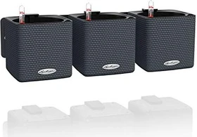 Lechuza Green Wall Home Kit Color Blumentopf-Set schiefergrau, 3 Stück