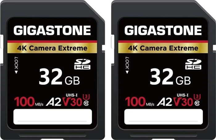 Gigastone 4k Camera Extreme R100/W50 32GB, UHS-I U3, A2, Class 10, 2er-Pack