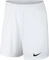 Nike Dry Park III Hose kurz (Herren) Vorschaubild