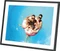AgfaPhoto APF1700WIFI 17" Vorschaubild