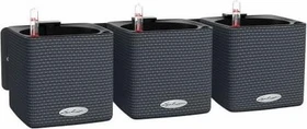 Lechuza Green Wall Home Kit Color Blumentopf-Set schiefergrau, 3 Stück