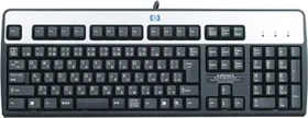 HP Standard Basis Keyboard 2004, schwarz/silber, USB, JP/US (DT528A#ABJ)