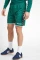 hummel Authentic Poly Short Hose kurz evergreen (Herren) Vorschaubild