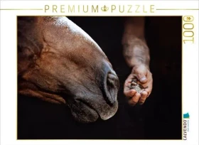 Calvendo Pferdemaul küsst Vogelbaby