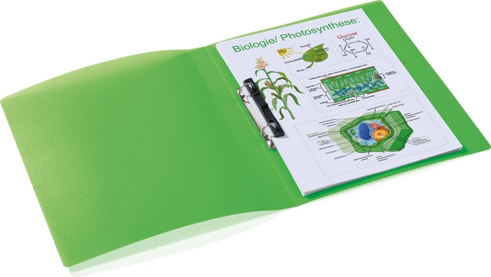 Herma Ringbuch 2-Ring, 25mm, A4, hellgrün/transparent, 3er-Pack
