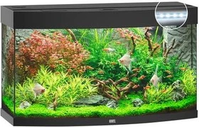 Juwel Vision 180 LED Aquarium-Set, schwarz, 180l