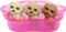 Mattel Barbie - mit Hund und Welpen blonde Haare Vorschaubild