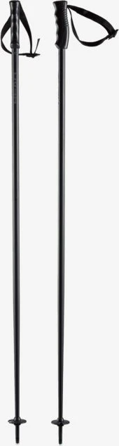 Head Multi Performance Alpin Skistock (Modell 2023/2024)