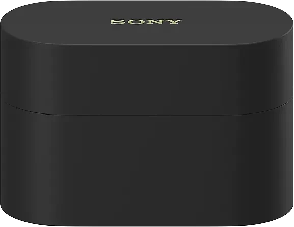 Sony WF-1000XM6 gojischwarz