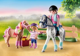 playmobil Country Starter Pack Pferdepflege