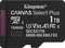 Kingston Canvas Select Plus Gen3 R150 1TB, UHS-I U3, A1, Class 10 Vorschaubild