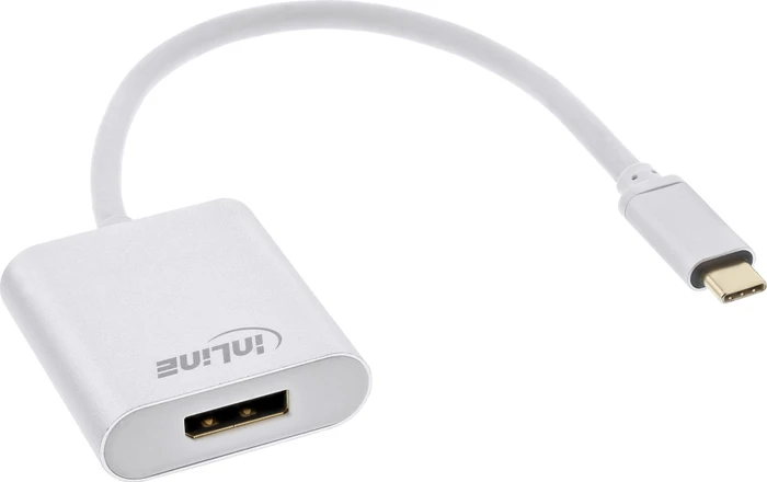 InLine Monitor Konverter USB-C Stecker auf Diplayport Buchse silber