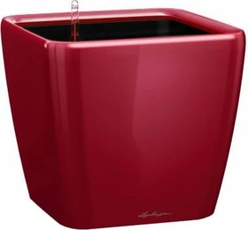 Lechuza Quadro LS 35 All-in-One Set scarlet rot hochglanz