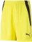 Puma TeamLIGA Shorts Trainingshose kurz (Junior) Vorschaubild