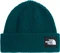 The North Face Salty Lined Mütze Vorschaubild