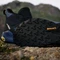 adidas Terrex Trailmaker 2.0 Mid GTX aurora ink/wonder steel/core black (Herren) Vorschaubild