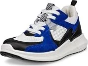 Ecco Biom 2.2k blau (Herren)