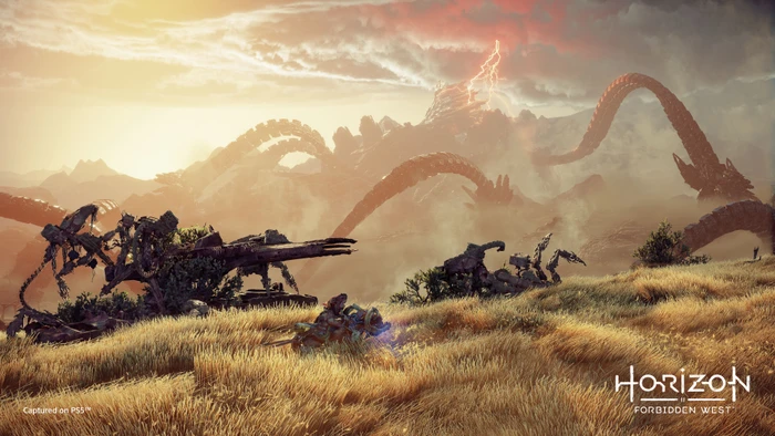 Horizon: Forbidden West (PS4)