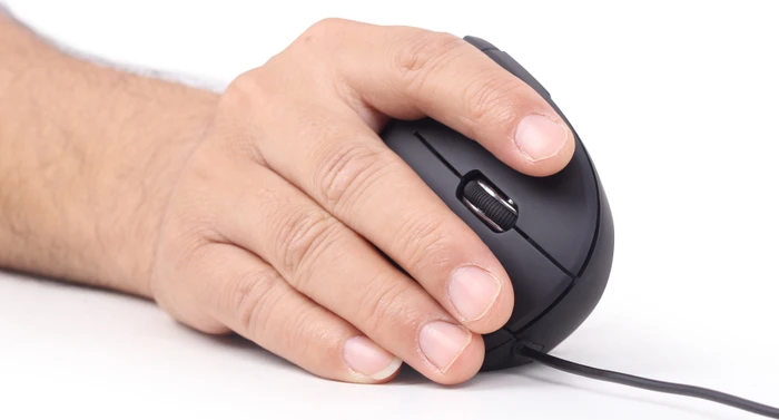 Gembird Ergonomic 6-Button Optical Mouse ERGO-01 schwarz, USB