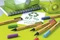 STABILO GREENpoint rot, 10er-Pack Vorschaubild