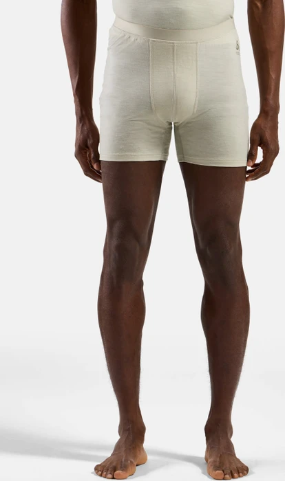 Odlo Natural Merino 160 Boxer Briefs agate gray (Herren)