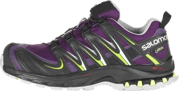 Salomon XA Pro 3D GTX cosmic purple/black/granny green (Damen)