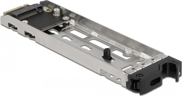 DeLOCK Wechselrahmen PCI Express Karte für 1 x M.2 NMVe SSD - Low Profile Formfaktor