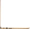 Acer Swift 3 SF315-52-559F, Luxury Gold, Core i5-8250U, 8GB RAM, 256GB SSD, UK Vorschaubild