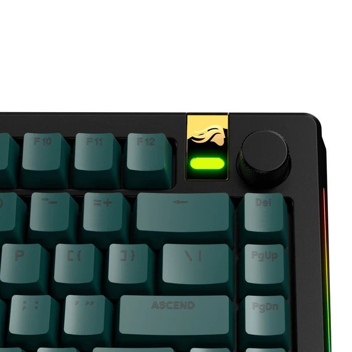 Glorious GPBT Basics Keycaps, Kunststoff (PBT), Totem Green, grün, 130 Tasten, ANSI-US