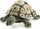 Folkmanis Handpuppe Schildkröte (2181)