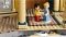 LEGO Disney - Disney Schloss Vorschaubild