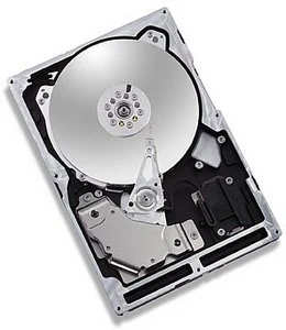 Maxtor Atlas 10K V 300GB, 3.5" / U320-SCA