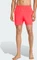 adidas Swim 5-Inch Badeshorts lucid red/white (Herren) Vorschaubild