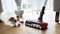 Bosch Unlimited 7 BKS711PET ProAnimal Akku-Handstaubsauger Vorschaubild