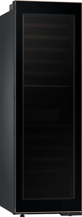 Samsung RR9000A RW33B99C5TF Bespoke