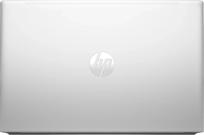 HP ProBook 450 G10, Pike Silver, Core i3-1315U, 16GB RAM, 256GB SSD, DE