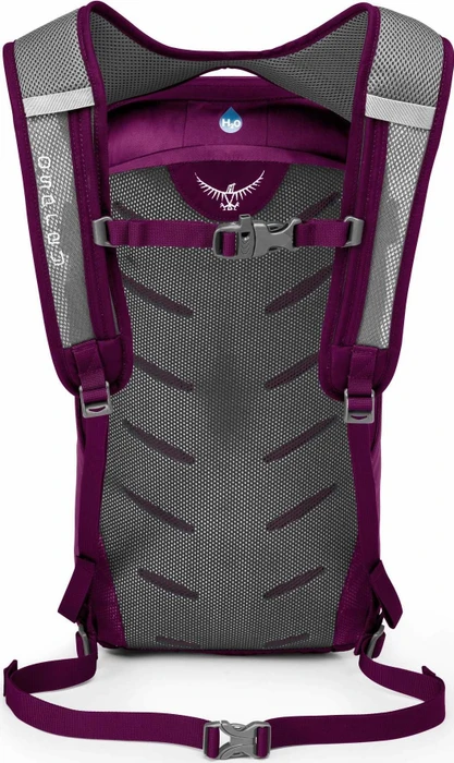 Osprey Daylite Plus 20 eggplant purple