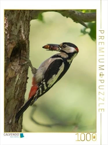 Calvendo Ein Motiv aus dem Kalender Besucher im Garten - Vögel