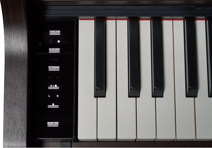 Casio Celviano AP-550 braun