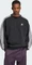 adidas Adicolor Oversized Crew Sweatshirt (Herren) Vorschaubild