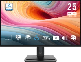 MSI PRO MP251 E2, 24.5"