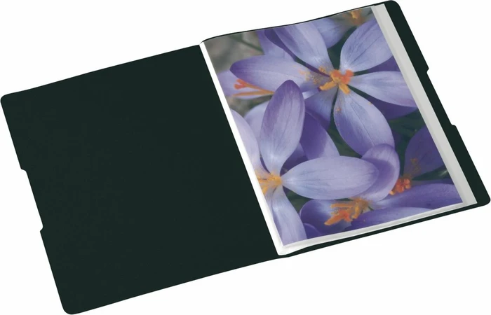 Herlitz easy orga to go Sichtbuch, A4, schwarz, inkl. 20 Klarsichthüllen