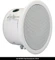 Apart Audio CM6T Vorschaubild
