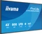 iiyama ProLite LH4366UHSB-B1AG, 43" Vorschaubild