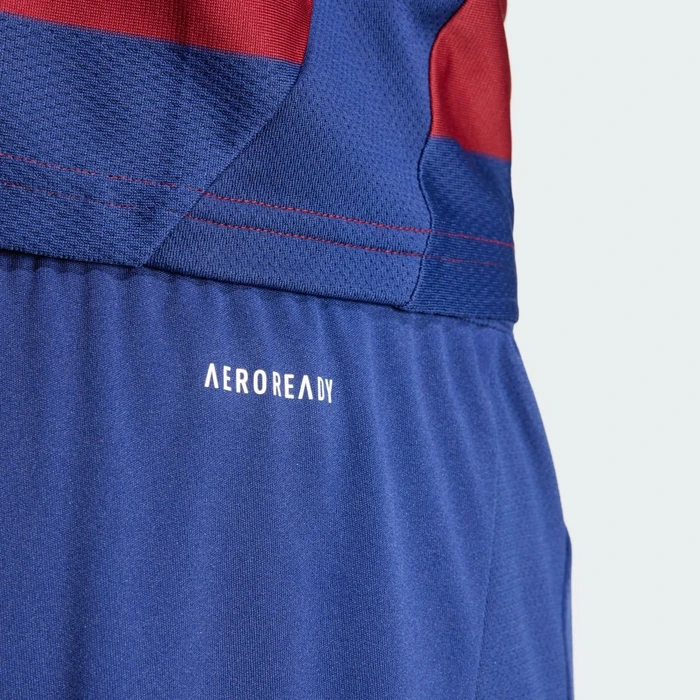adidas Newcastle United FC 2024/2025 Auswärtsshorts night sky (Herren)